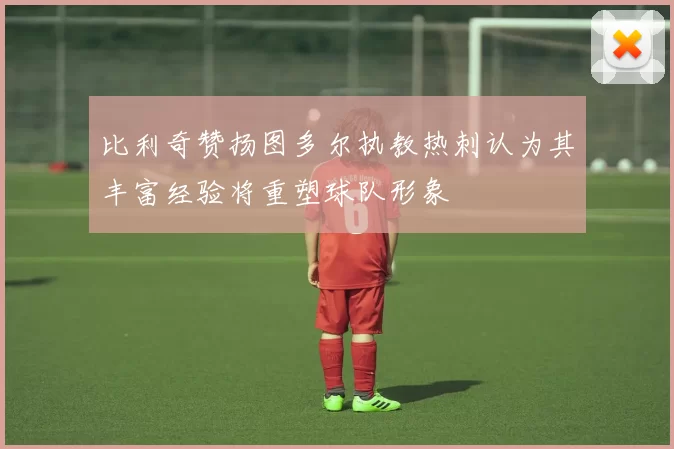 比利奇赞扬图多尔执教热刺认为其丰富经验将重塑球队形象